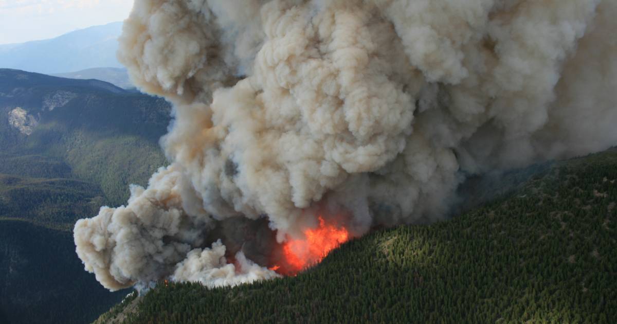 Plane crashes while fighting B.C. forest fire | Georgia Straight