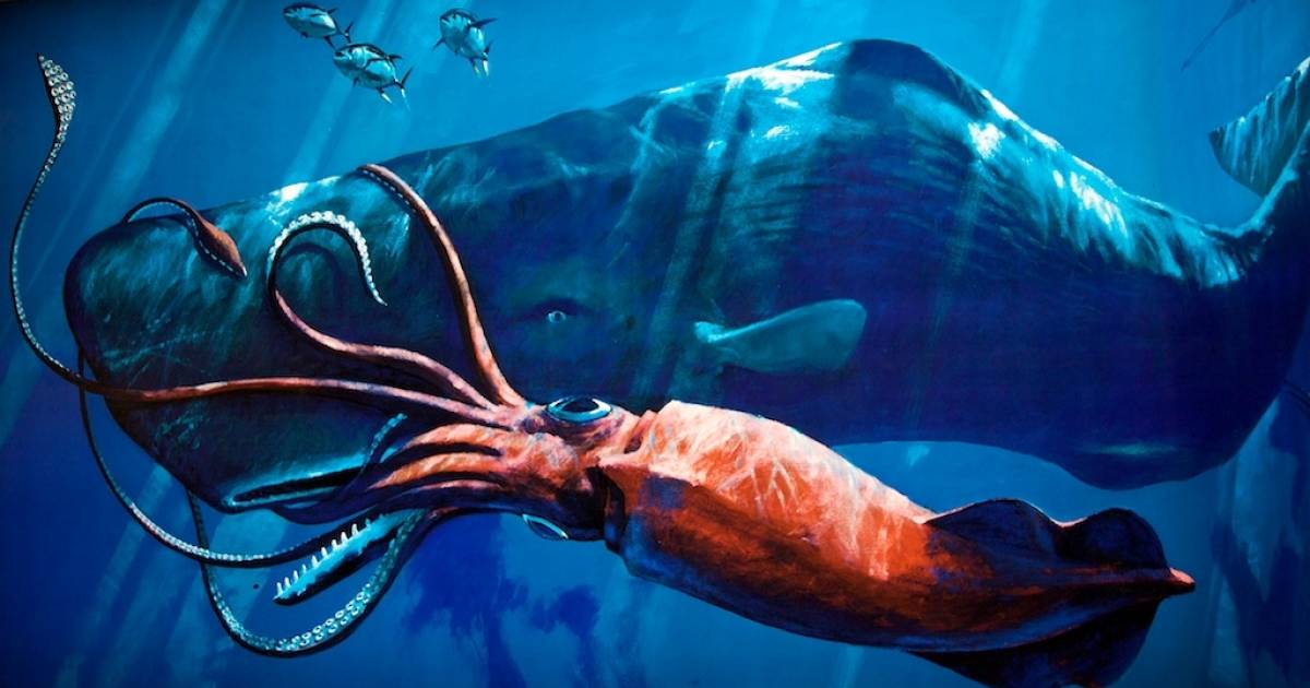 are giant squids extinct