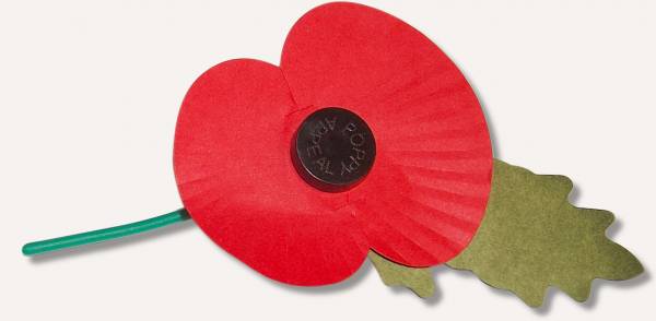 remembrance poppy pin on news