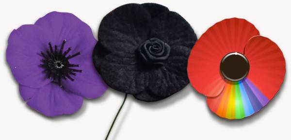 remembrance poppy colours