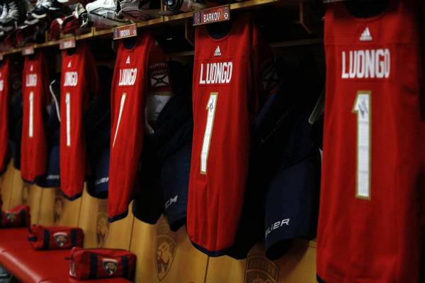Vancouver Canucks: What happens if Roberto Luongo retires?