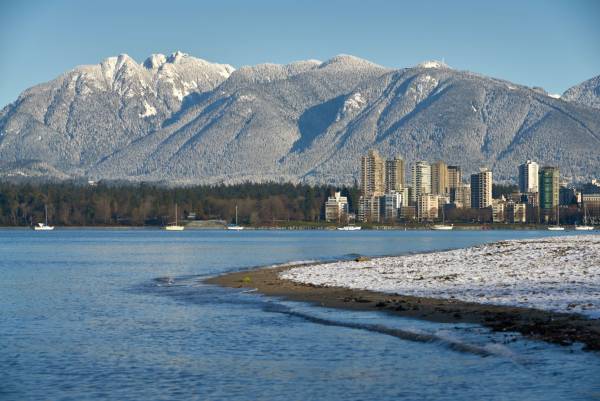 What you need to know about Vancouver's 2024 Polar Bear Swim