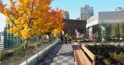 VPL Picks: Do-overs -- Making Life Changes, Vancouver Public Library