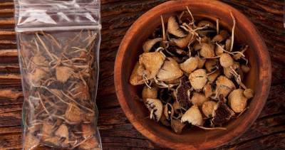 Can You Cook Magic Mushrooms Georgia Straight Vancouver S News Entertainment Weekly